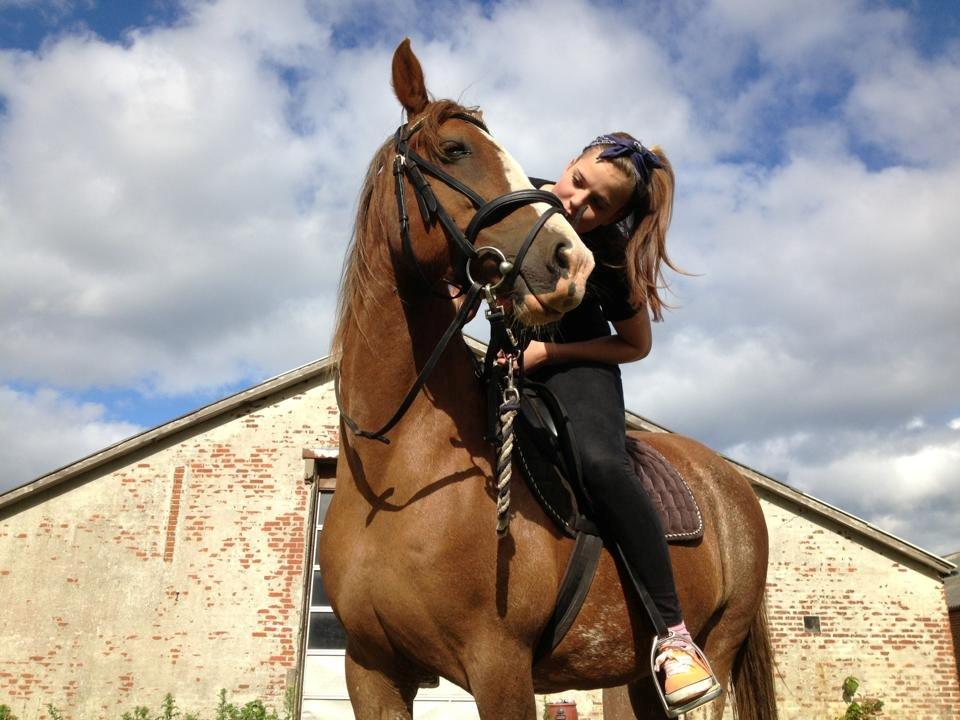 Anden særlig race Rosa billede 2