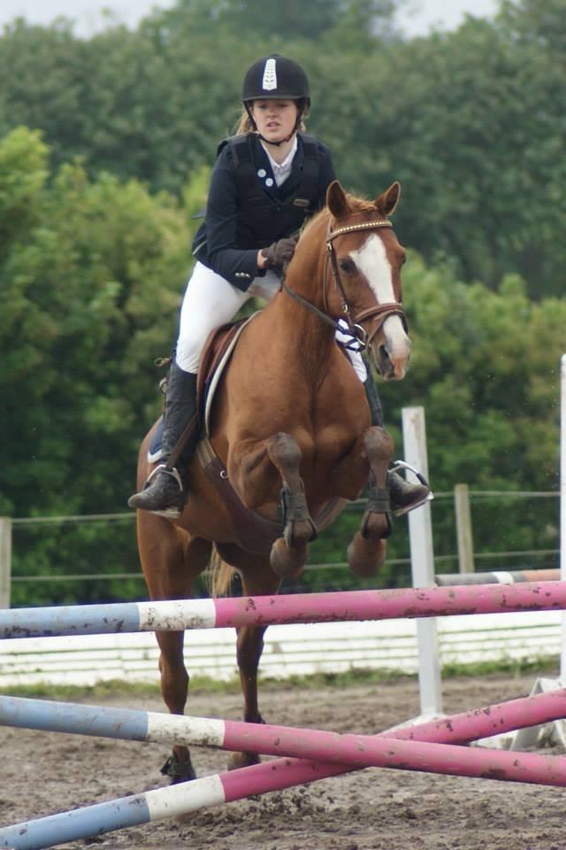 Irsk Sportspony Skywalker Merina - hopla Sky du er bare flyvende<3:-) billede 11