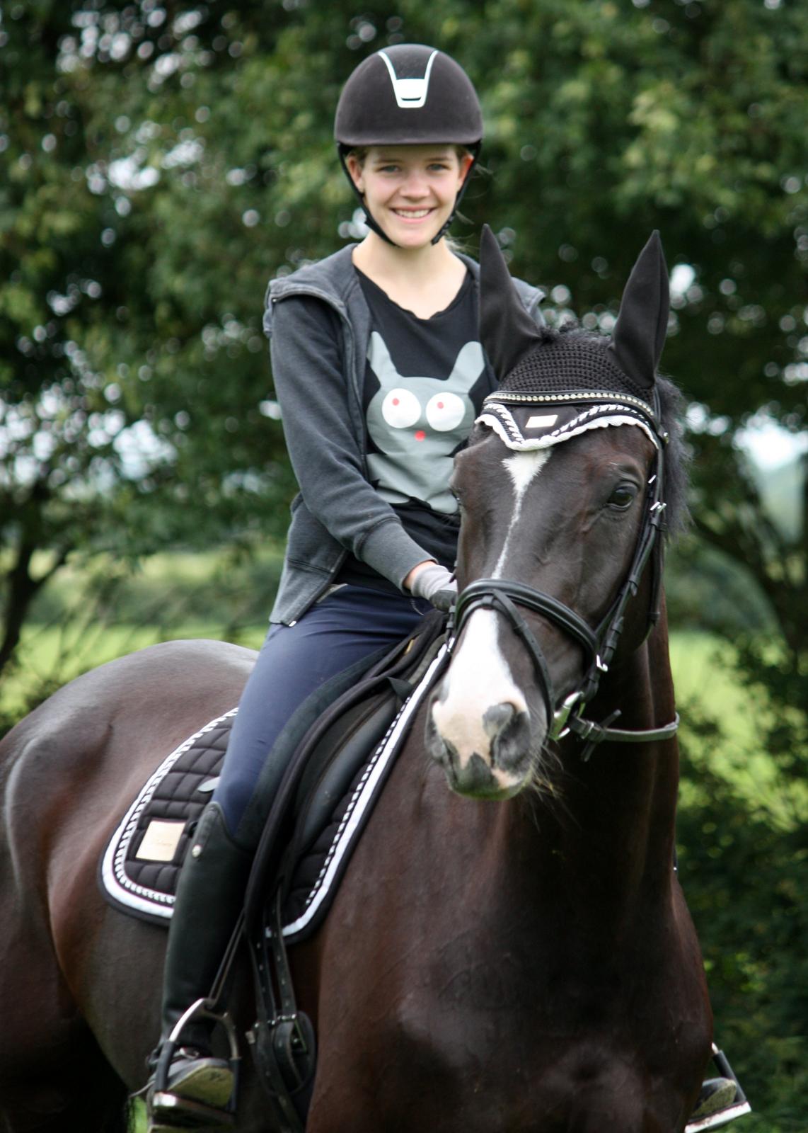 Hannoveraner Amando 29 - Amando d. 24. juni 2013 billede 19