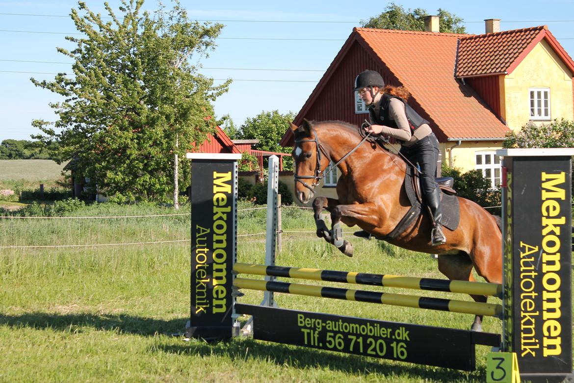Anden særlig race Shakira - Velkommen til Kiras profil <3 billede 1