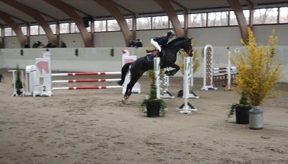 Anden særlig race Karlshøjgaards Ice Queen billede 4