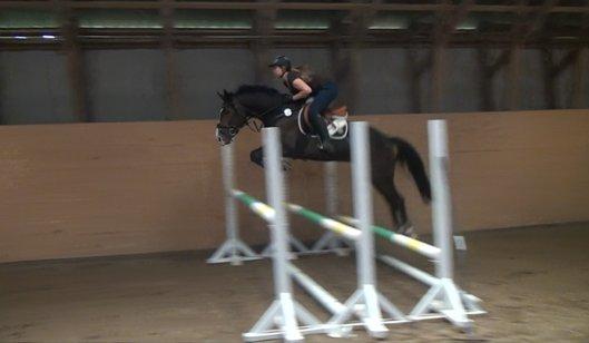 Anden særlig race Karlshøjgaards Ice Queen billede 5