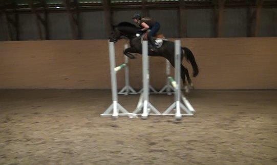 Anden særlig race Karlshøjgaards Ice Queen billede 6