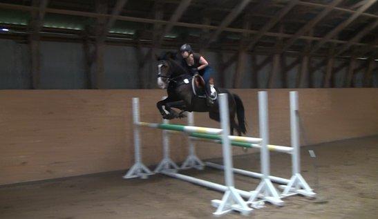 Anden særlig race Karlshøjgaards Ice Queen billede 7