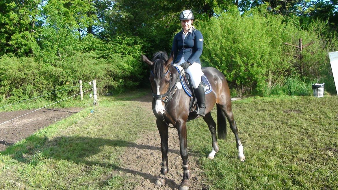 Anden særlig race Karlshøjgaards Ice Queen billede 13