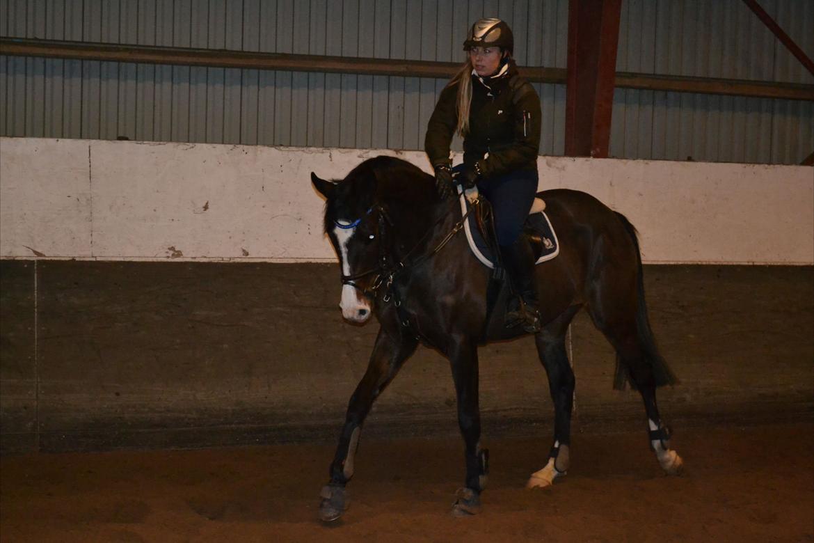 Anden særlig race Karlshøjgaards Ice Queen billede 16