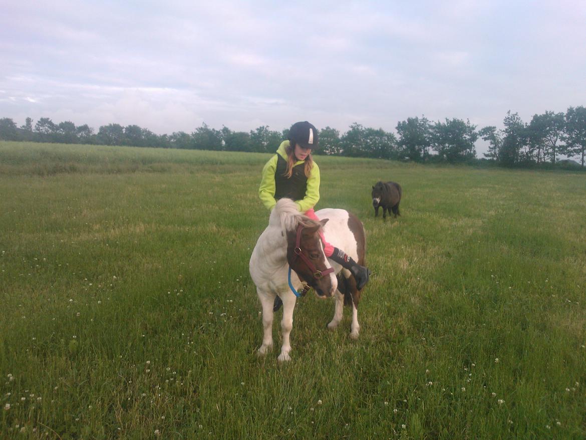 Anden særlig race Samba - WE ARE CRAYSI TOGETHER FOREVER AND ALLWAYS <3 billede 11