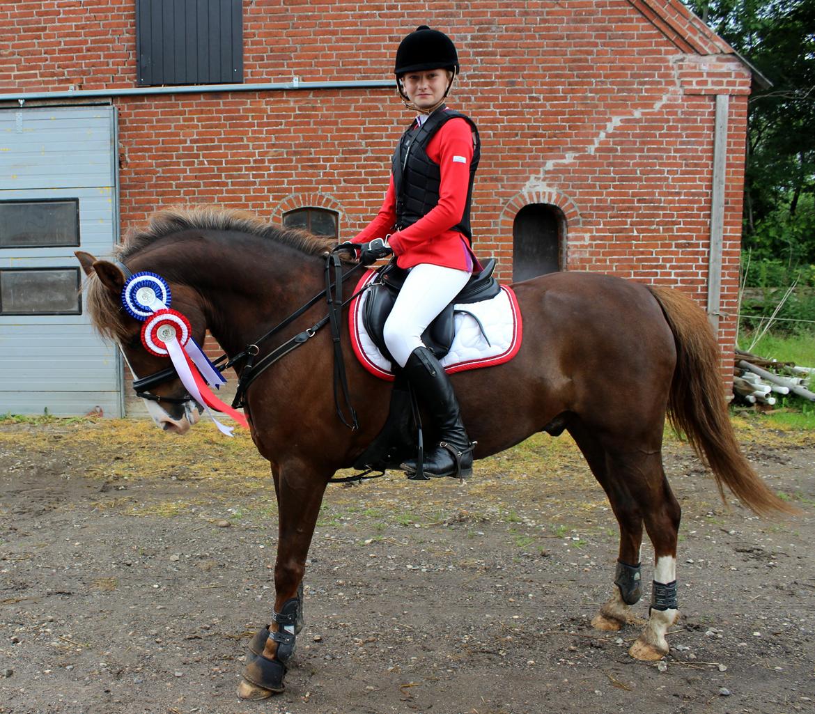 New Forest Koedijks Milano *Låner* - Første Spring stævne på Milano <3 billede 9