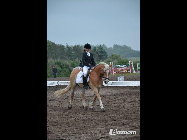 Haflinger Katinka - Er ikke sikker på om det er LC3 eller LB1 vi rider her (-: billede 12