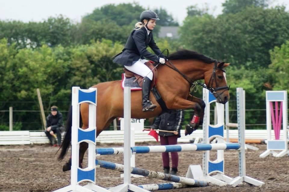 New Forest Birkilds Veronica - Min prinsesse<3 billede 8