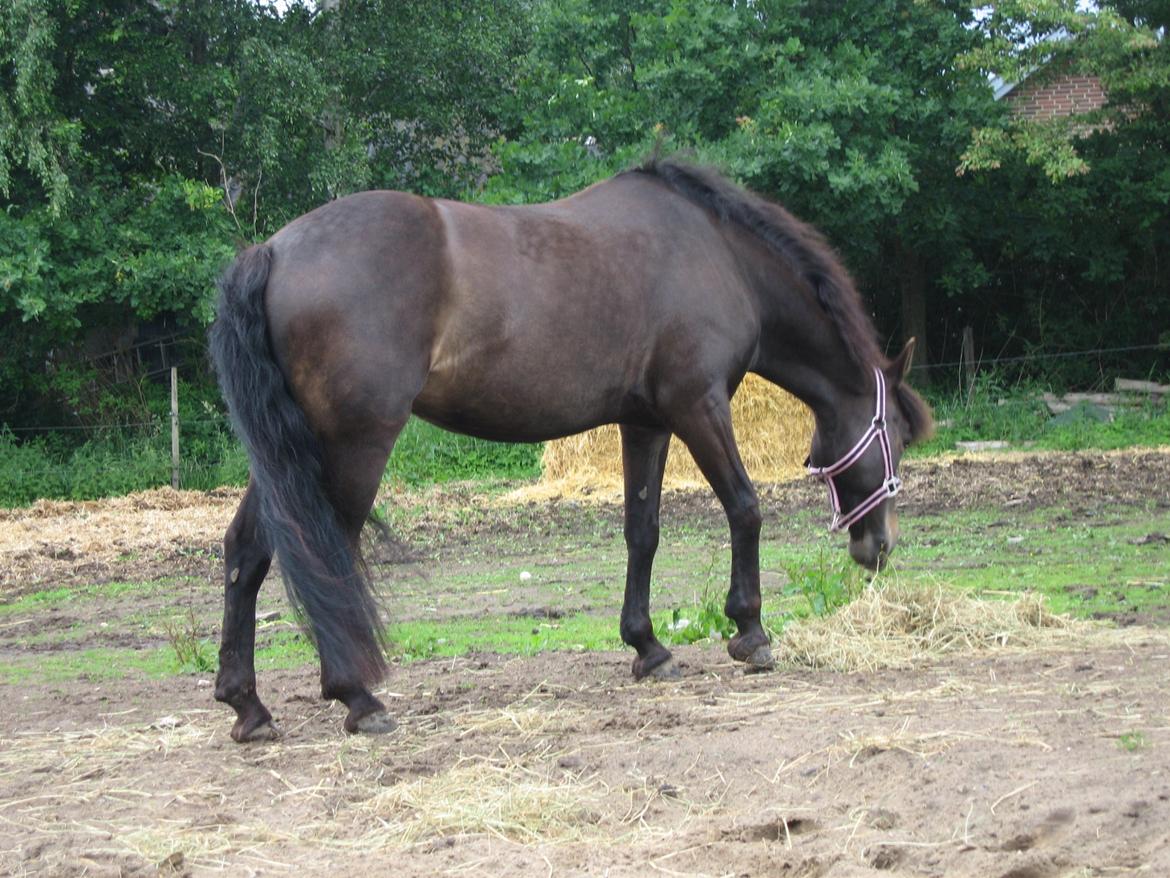 Anden særlig race Magic Malou <3<3 - Malou på fold:) billede 9