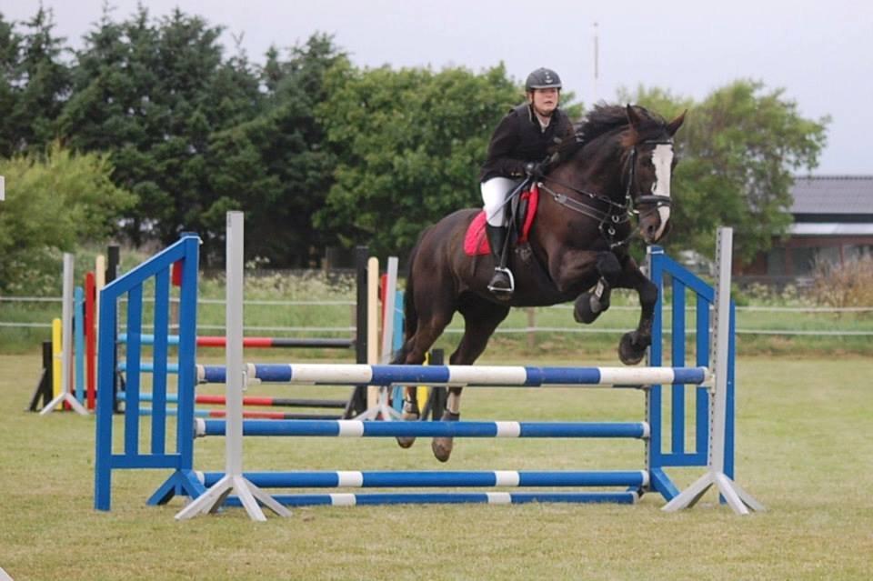 Anden særlig race Fanfan - første LD<3 billede 1