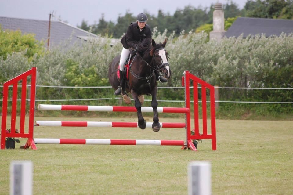 Anden særlig race Fanfan - første LD<3 billede 3