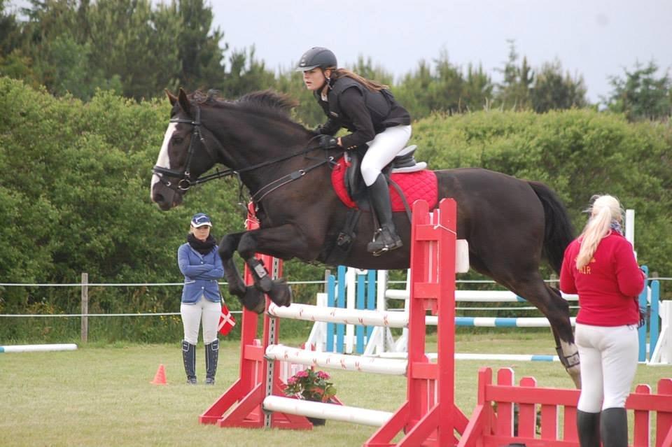 Anden særlig race Fanfan - første LD<3 billede 4