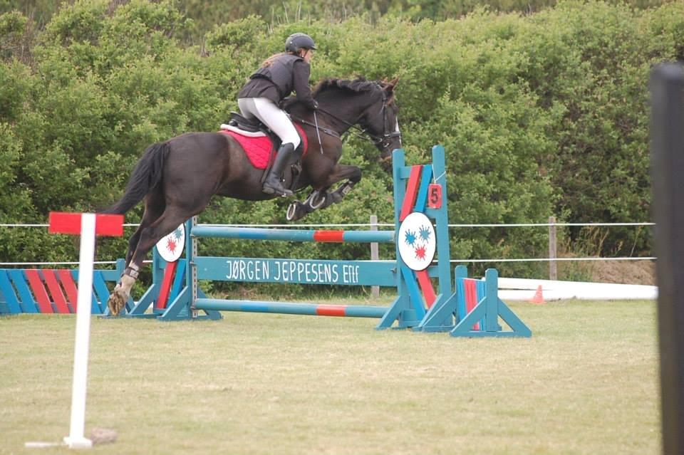 Anden særlig race Fanfan - første LD<3 billede 5