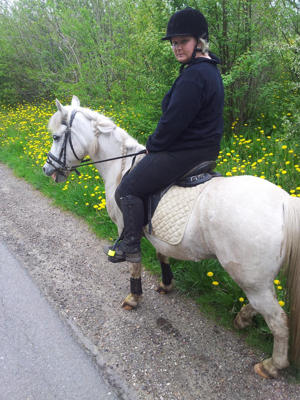 Anden særlig race Lucky billede 3