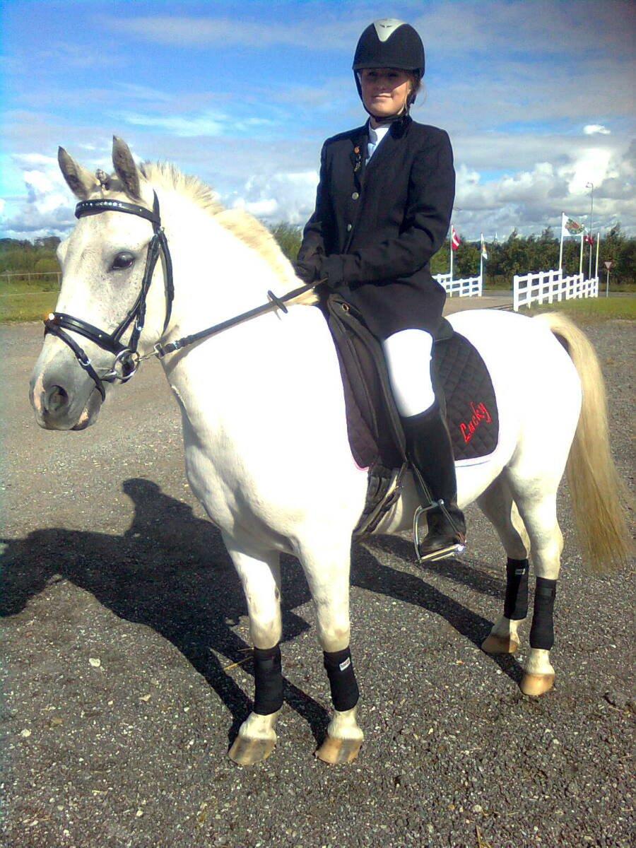 Anden særlig race Lucky - Lille dressur stævne i Hedensted. billede 1