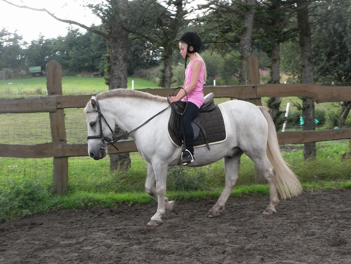 Anden særlig race Lucky billede 5