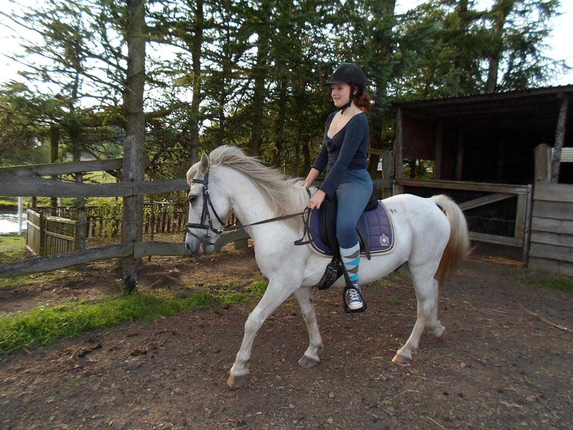 Anden særlig race Lucky billede 7