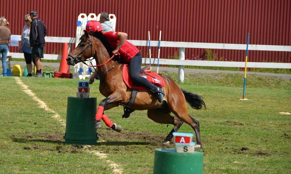 DSP Mirain Charming - Charmings første stævne på det danske U17 landshold :)  billede 15