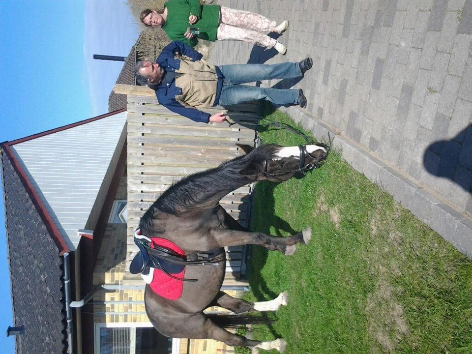 Anden særlig race Fanfan - første gang drengen var hjemme hos mig<3 billede 8