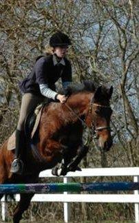 Anden særlig race Rinal (RIP) billede 3