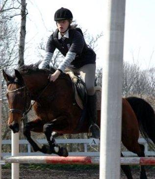 Anden særlig race Rinal (RIP) billede 2