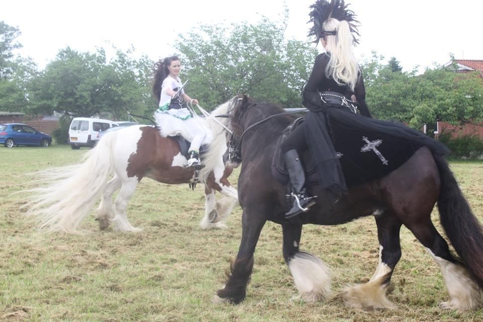 Irish Cob Chip - Chip -Rideshow i Mogenstrup 22-23 juni 2013 billede 16