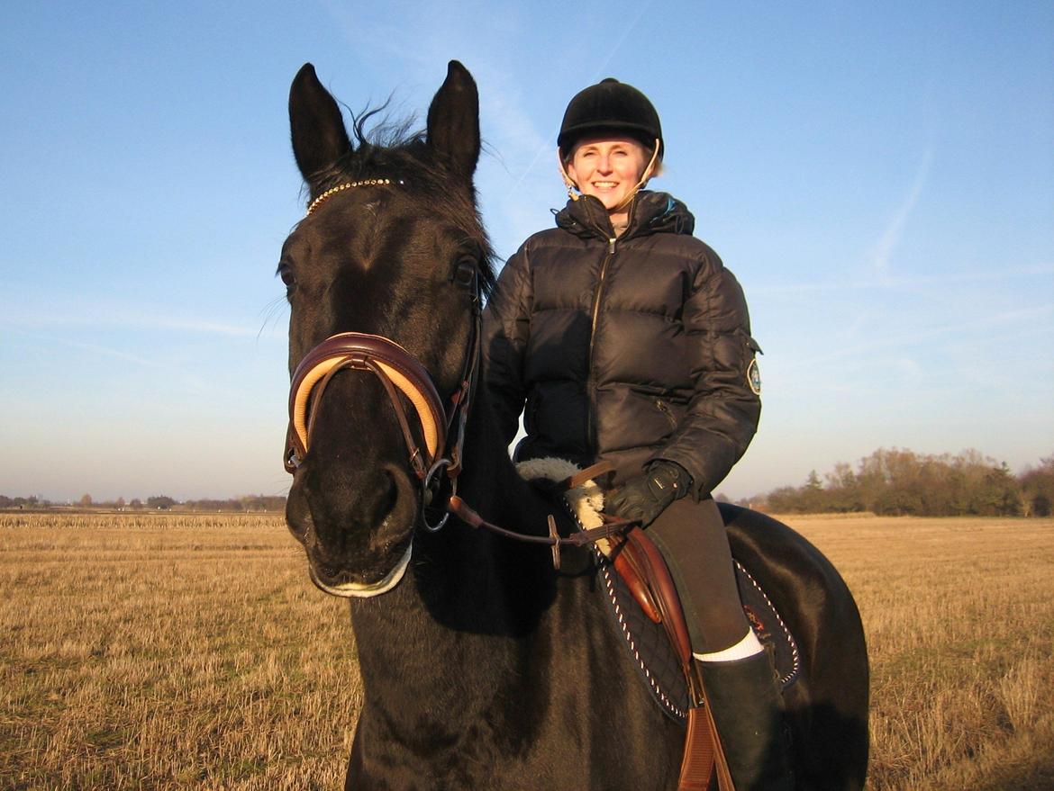 Hannoveraner Didoo von Hestebjerggaard billede 14