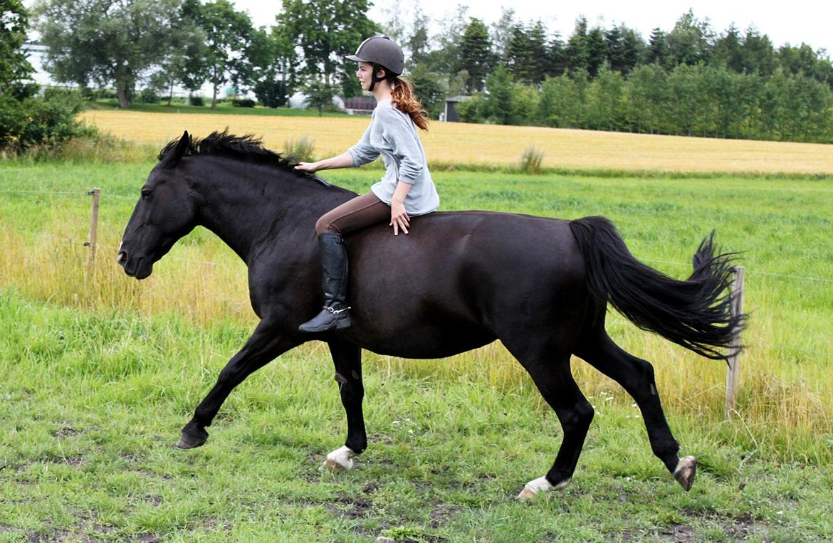 Oldenborg Minna - Velkommen til Minnamusens profil :) Læg gerne en kommentar, så bliver hun glad ;)  billede 1