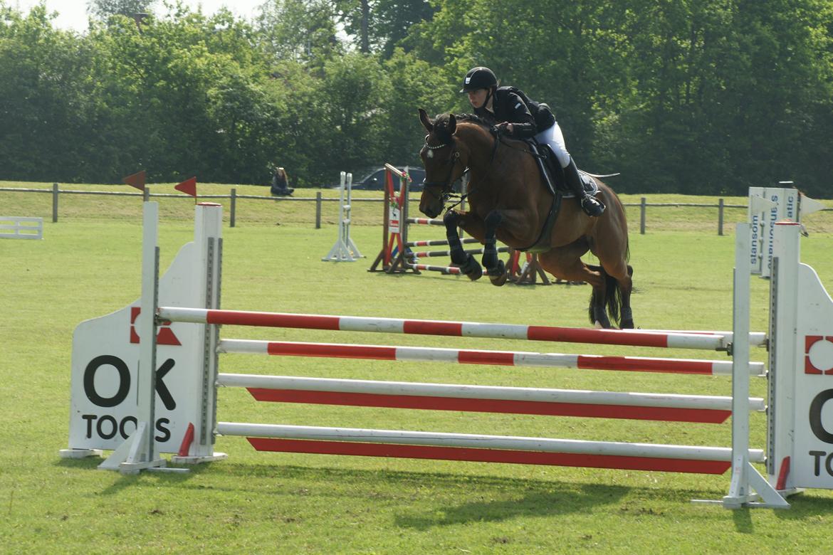 Holstener Pretty woman billede 8