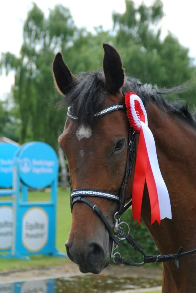 Holstener Pretty woman billede 19