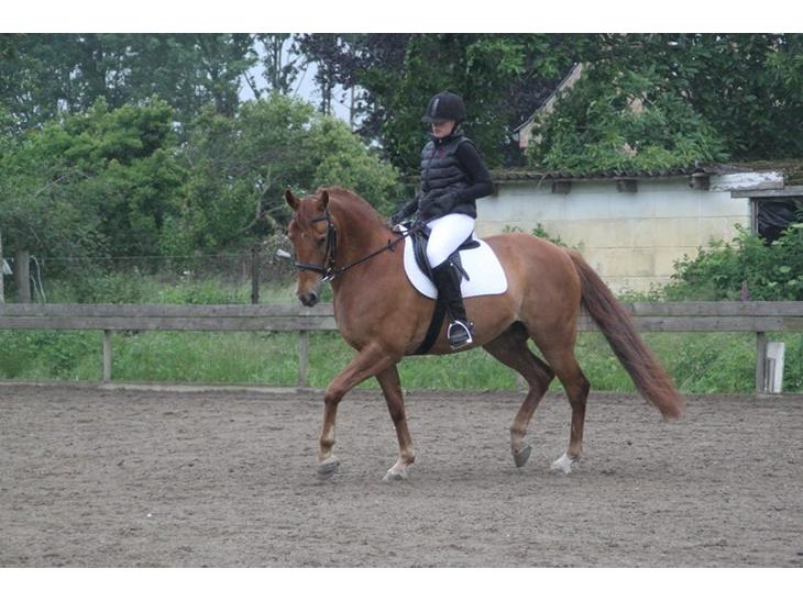 {{currentPhoto.altText}} billede {{currentPhoto.number}}