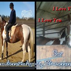 DSP Kastaniehøj Joannah