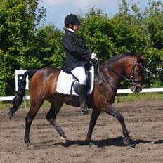 Anden særlig race Freja Ømarksgård solgt