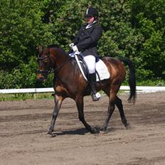 Anden særlig race Freja Ømarksgård solgt