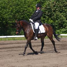 Anden særlig race Freja Ømarksgård solgt