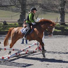 DSP Brandzöed Zoya Bredager