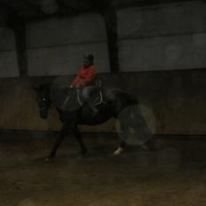 Oldenborg Grønbæks Dior