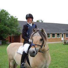 Fjordhest Cirkeline Møldrup