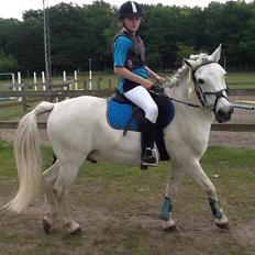 Anden særlig race Lucky Star! <3  (passer)