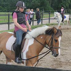 Fjordhest Blanding Golden Princess. I miss you!!<33