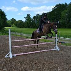 Anden særlig race Marielunds Faiht!<3 My Soulmate!<3