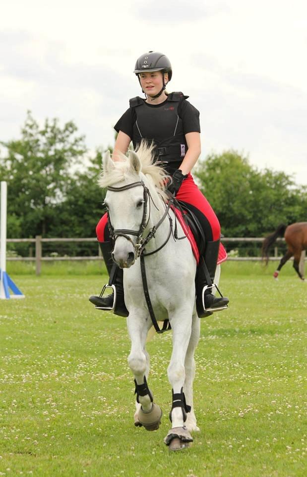 Anden særlig race >> Ballettens S >> billede 13