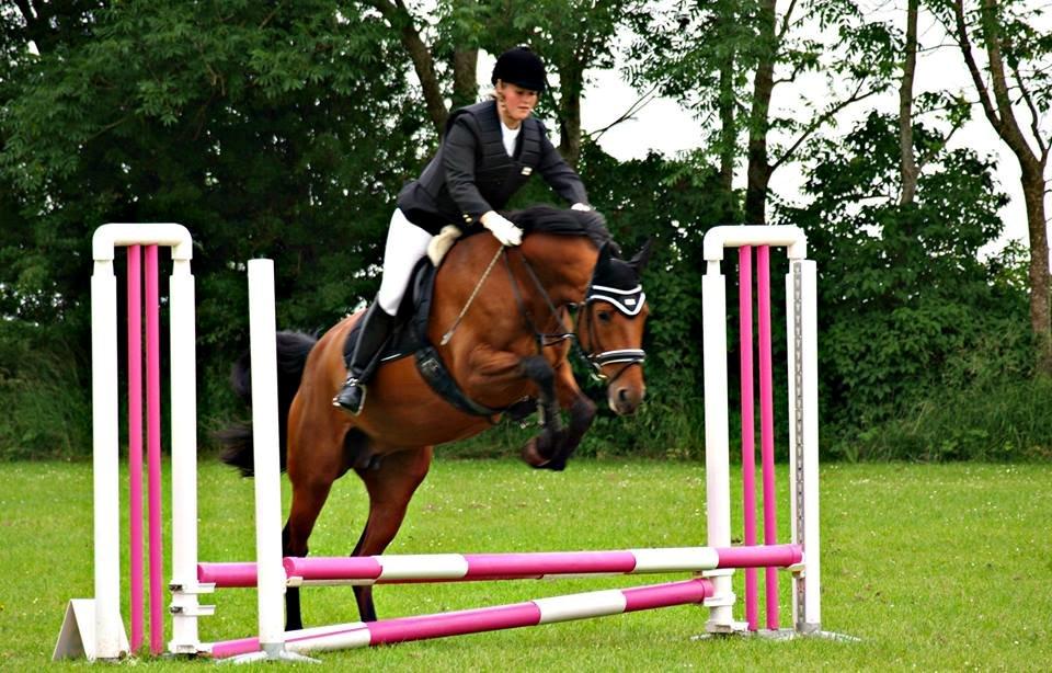 Dansk Varmblod Tanholms Triumph - TT og jegs første spring stævne :-) billede 1