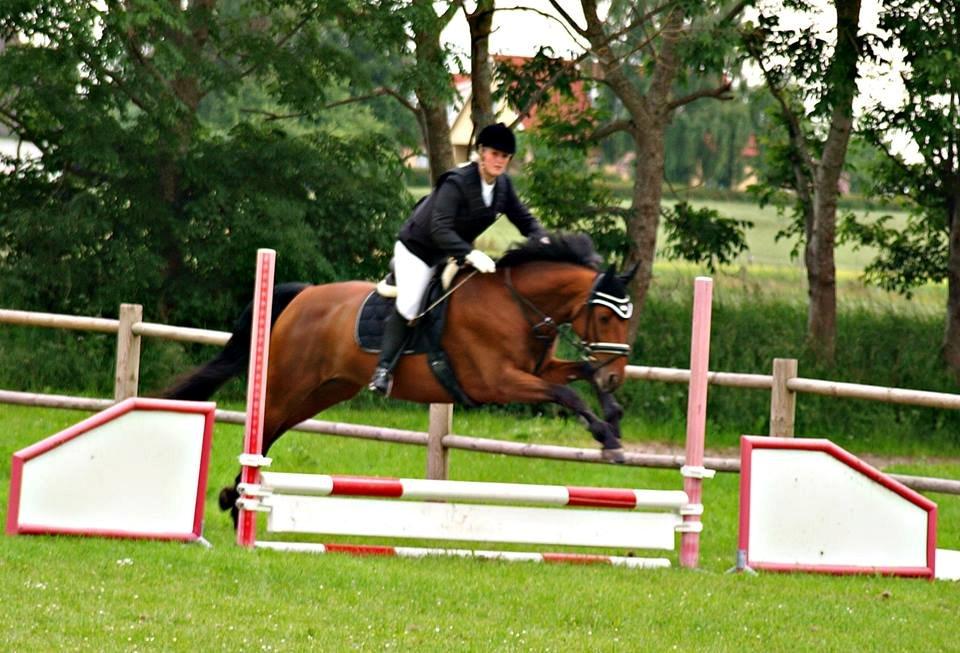 Dansk Varmblod Tanholms Triumph - TT og jegs første spring stævne :-) billede 20