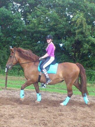 Anden særlig race Martha billede 7