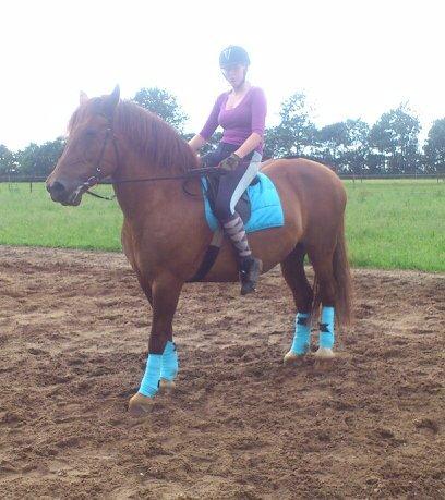 Anden særlig race Martha billede 8