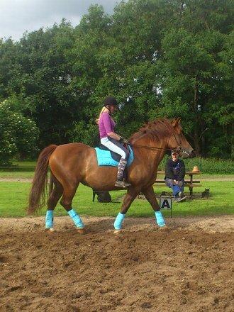 Anden særlig race Martha billede 9