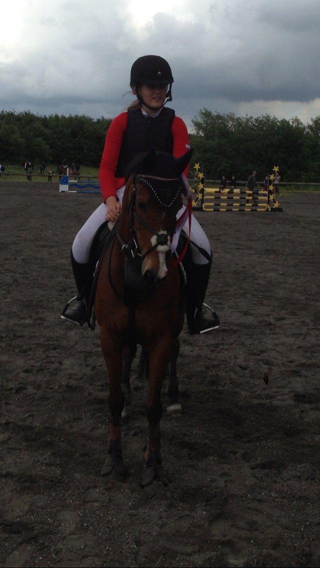 DSP - ELVITA <3 - El til hendes første c-stævne! Hvor hun ride alle hendes 4 første LBer fejlfrit og får en u-roset og en førsteplads<3 ELSKER HENDE!!!<3 d. 23. juli 2013 billede 3